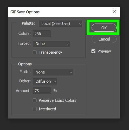 GIF Save Options